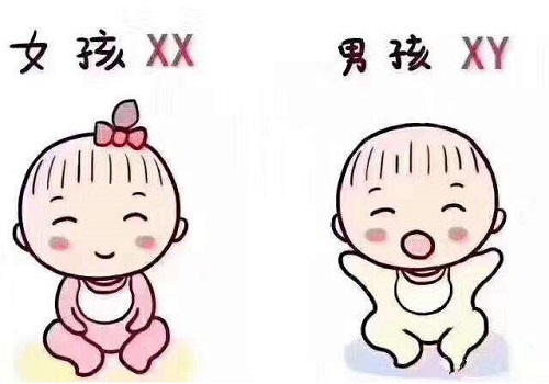 试管婴儿医药排名最好医院优势是什么？